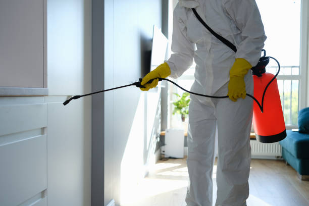 Best Health and Safety Mold Remediation in Richmond, MI