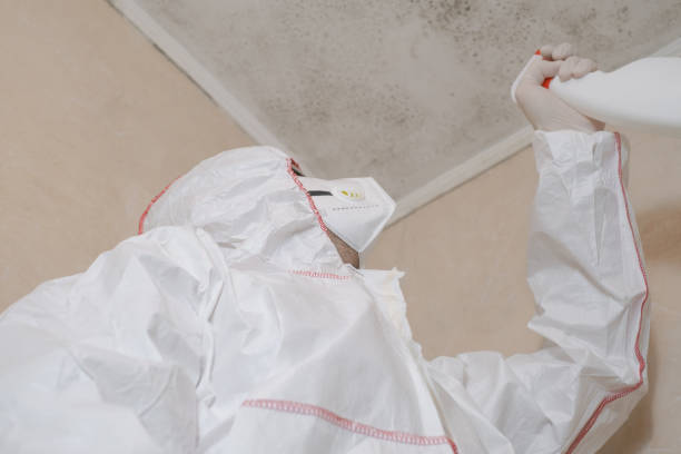Best Mold Testing and Inspection Services in Richmond, MI